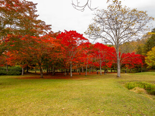 福原山荘の紅葉（北海道河東郡鹿追町北瓜幕）
