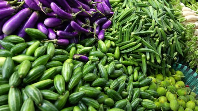 Organic fresh raw vegetables at market, including brinjal, okra, pointed gourd, spiny gourd, and radish. This colorful and delicious footage is for use in videos about food, cooking, and health
