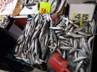 Fish seller. Small blue fishes and anchovies on the stall. Focusel on blue fish. 