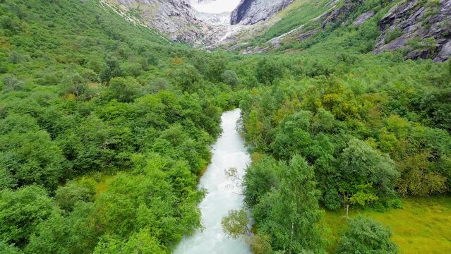 Drone flyby over rivers and green forest. 