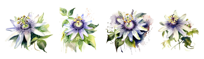 Watercolor tropical flowers white passiflora set. Generative AI - obrazy, fototapety, plakaty