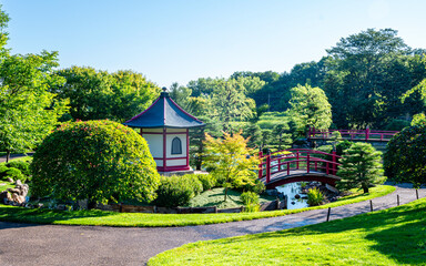 Japanese garden at summer season