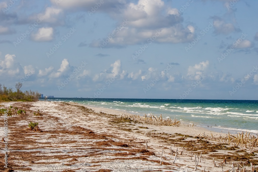 Poster beach and sea