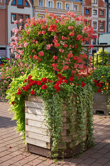 Fototapeta na wymiar Vertical flower bed in the urban environment of city. Flowers and greenery in landscape design. Modern city floristry, urban flowerbeds design, city flowers landscaping and arrangement. Riga, Latvia.