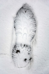 Footprints on the snow surface