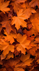Naklejka na ściany i meble Background of orange and yellow autumn leaves.