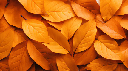 Background of orange and yellow autumn leaves.