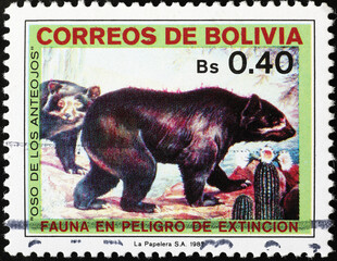 Spectacled bear on vintage bolivian stamp