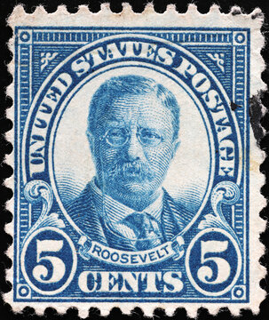US President Theodore Rooosevelt on old postage stamp