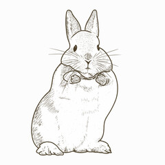black and white illustration of rabbit