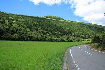 Fototapeta na wymiar 愛媛県西予市　大野ヶ原の風景