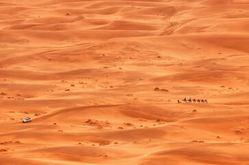 camel caravan in the Sahara desert 