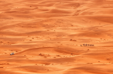 Fototapeta na wymiar camel caravan in the Sahara desert 