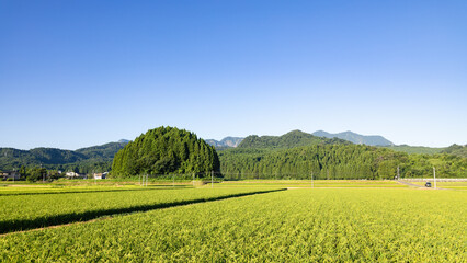 Fototapeta premium 糸魚川・八幡神社周辺の風景