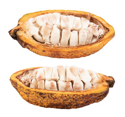 Cacao or Theobroma cacao fruit isolated on transparent background. - obrazy, fototapety, plakaty