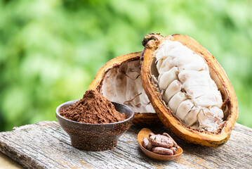 Cacao or Theobroma cacao fruit and powder on nature background. - obrazy, fototapety, plakaty