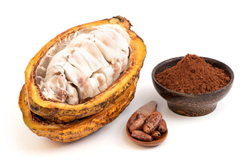 Cacao or Theobroma cacao fruit and powder isolated on white background.