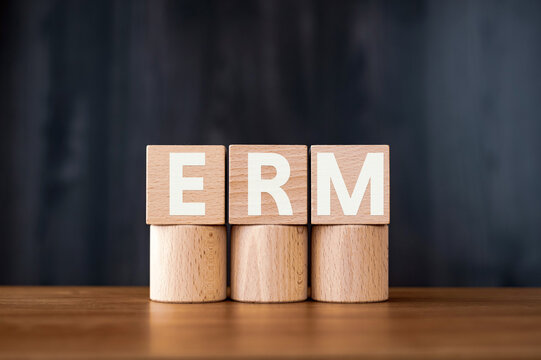 There is wood cube with the word ERM. It is an abbreviation for Enterprise Risk Management as eye-catching image.
