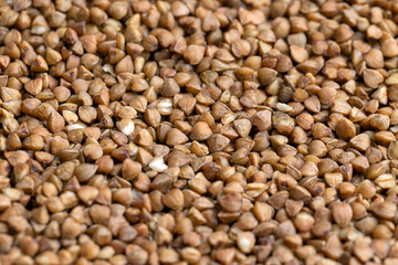 A large amount of roasted buckwheat harvest