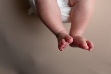 feet of a newborn baby. baby feet