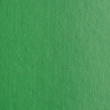 Green color abstract texture for background. Close-up detail view of rectangular texture decoration material, green pattern background for design
