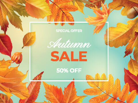 Realistic autumn sale. Fall leaves season shopping banner brochure template, seasonal offer for september october or thanksgiving weekend concept, leaf exact vector illustration