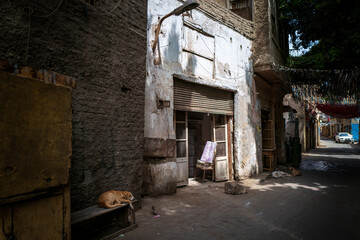 Fototapeta na wymiar Egyptian alleyway in Cairo with shop front and sleepy dogs.