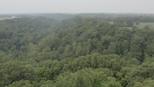 Aerial footage of a jungle, forest in the United States with green trees and blue skies