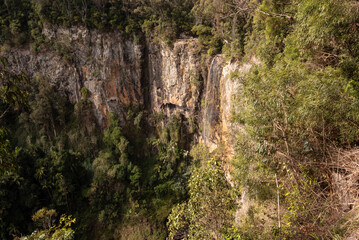 Fototapeta na wymiar Purling Brook Falls in Springbrook National Park, Queensland, Australia. The falls are fairly dry due to recent dry weather.