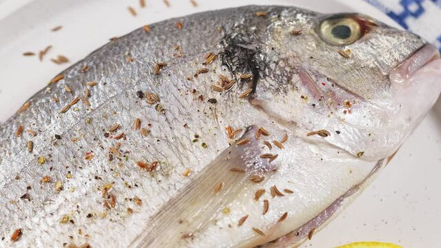Raw dorado fish with lemon and sprinkled with cumin on white plate. Handheld shot