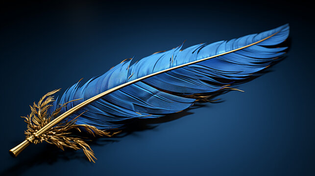 feather on black background HD 8K wallpaper Stock Photographic Image
