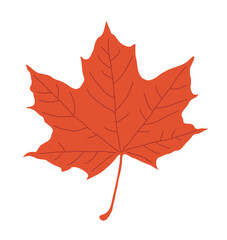 Hand drawn illustration of fallen leaves from trees in fall season. Foliage of various colors is produced.