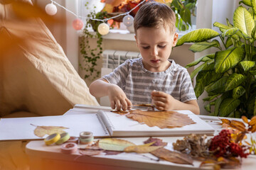 A child makes a herbarium from autumn colorful leaves. Happy autumn time.