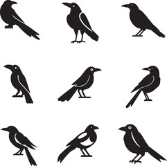 Magpie Bird vector silhouette Illustration