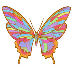 Digital oil paint illustration butterfly