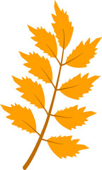 Obraz premium Autumn leaf