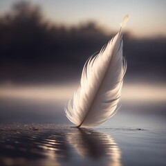 feather on the sea