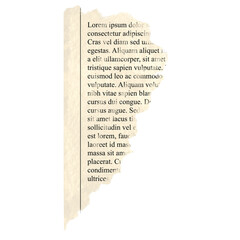 Naklejka premium Ripped newspaped