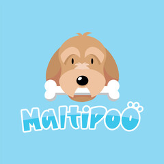 CUTE MALTIPOO DOG IS BITING A BONE VECTOR LOGO