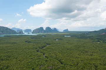Naklejka premium Aerial top view of Samet Nangshe, Phang Nga, lush green trees from above in tropical forest in national park in summer season. Natural landscape. Pattern texture background.