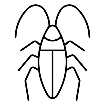cockroach