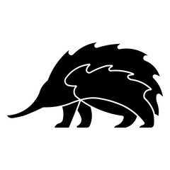 echidna