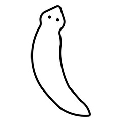 flatworm