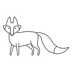 fox