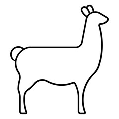 Llama