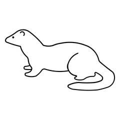 mink