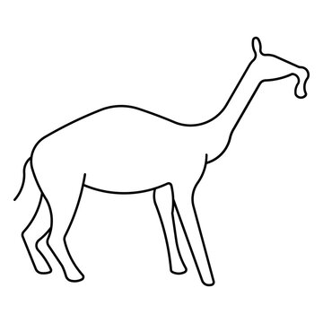 macrauchenia