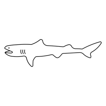 "Megamouth Shark" Images – Browse 148 Stock Photos, Vectors, and Video