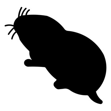 junebug
