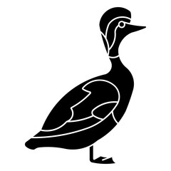 red hooded duck
